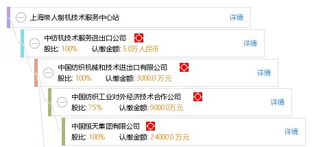 上海帝人制機技術服務中心站工商信息與信用報告解析